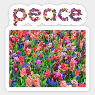 Peace Sticker